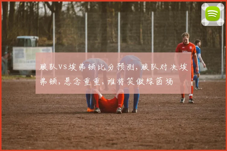 狼队vs埃弗顿比分预测,狼队对决埃弗顿,悬念重重,谁将笑傲绿茵场